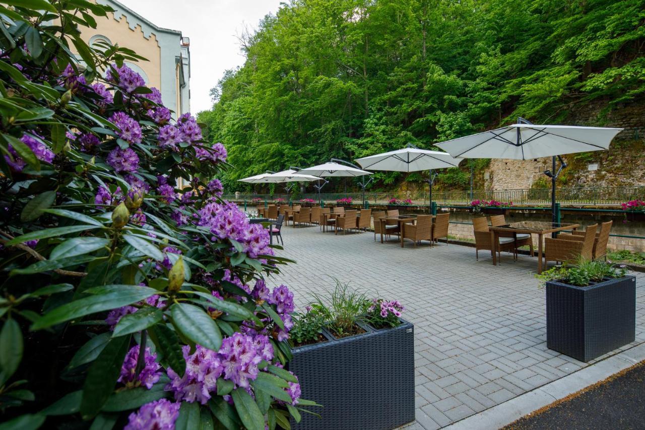 Villa Basileia Riverside 卡罗维发利 外观 照片